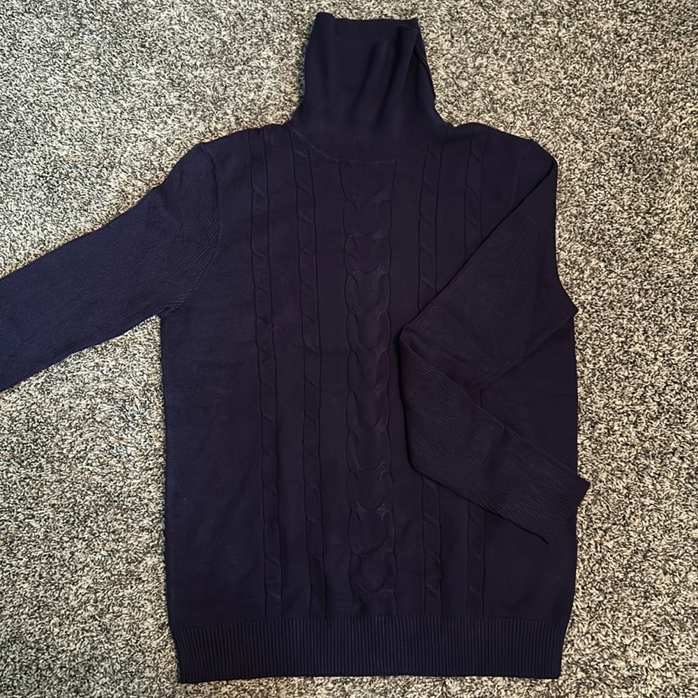 Leani Turtleneck Sweater